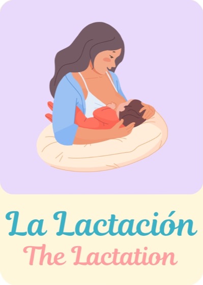 La Lactación Lotería Bebé card