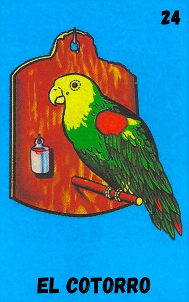 El Cotorro, carta tradicional de Lotería